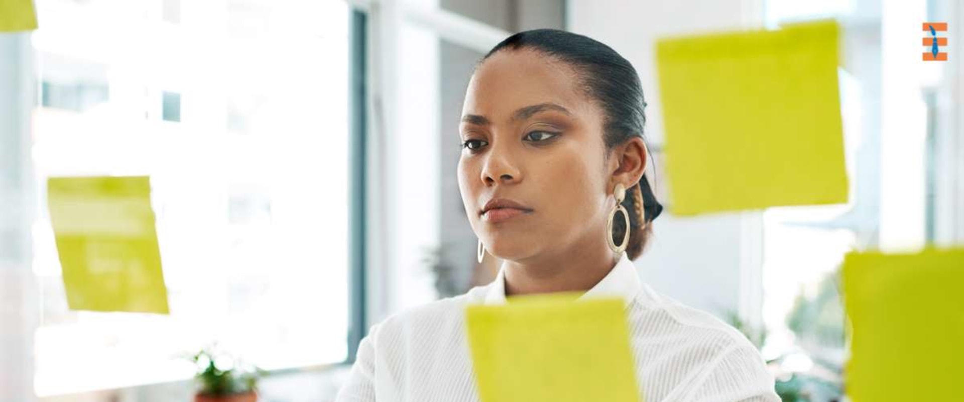 Effective Essay Writing Strategies